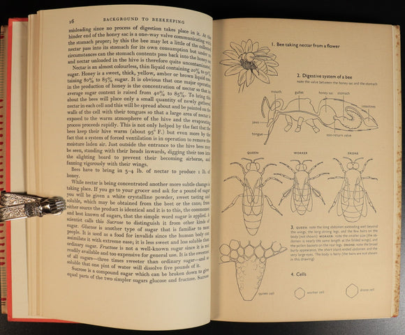 4857431b-86d1-4e2b-8023-4cbe9f3506dd