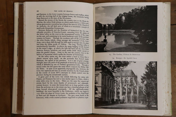 49816974-3138-44ad-b5a0-0371cae33521