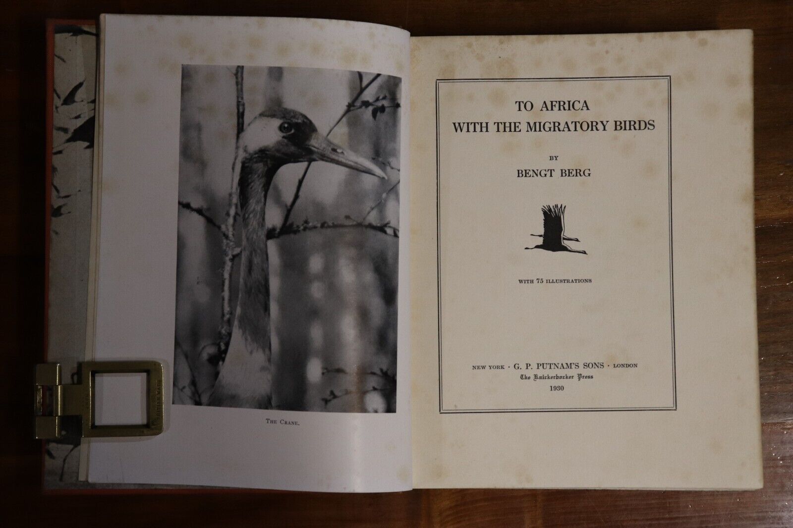 1930 To Africa With The Migratory Birds Antique Natural History Reference Book - 0