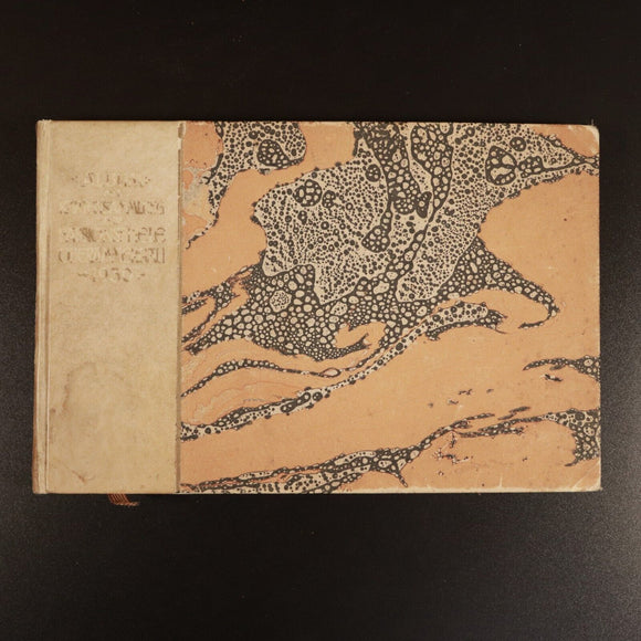 1930 Album Of Scenes From The Oberammergau Passion Play Antique Theatre Book