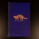 c1882 Studies In Nidderdale by J. Lucas Antique British History Book 1867-1872-3