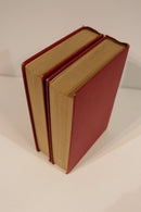 1911 2vol David Copperfield by Charles Dickens Antique British Fiction Book Set-19