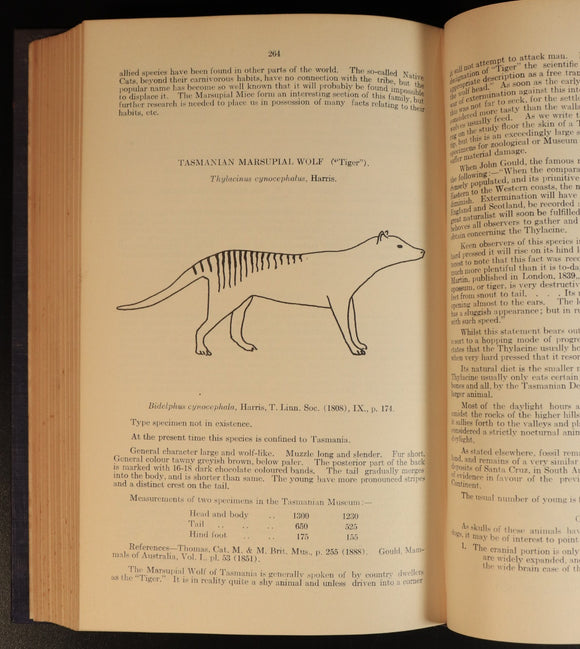 4cc2f79b-9a4e-41ba-9ba5-2999f18a3efe