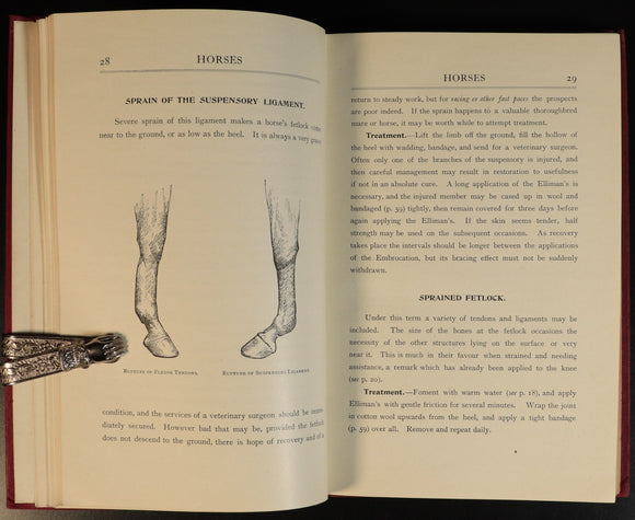 4db4966e-2266-425d-aa5f-fe54d53797a5