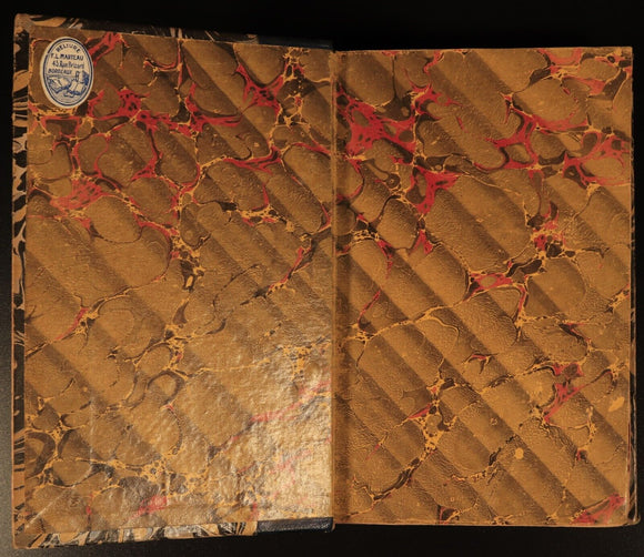 1893 Le Lendemain Des Amours by Georges Ohnet Antiquarian French Fiction Book