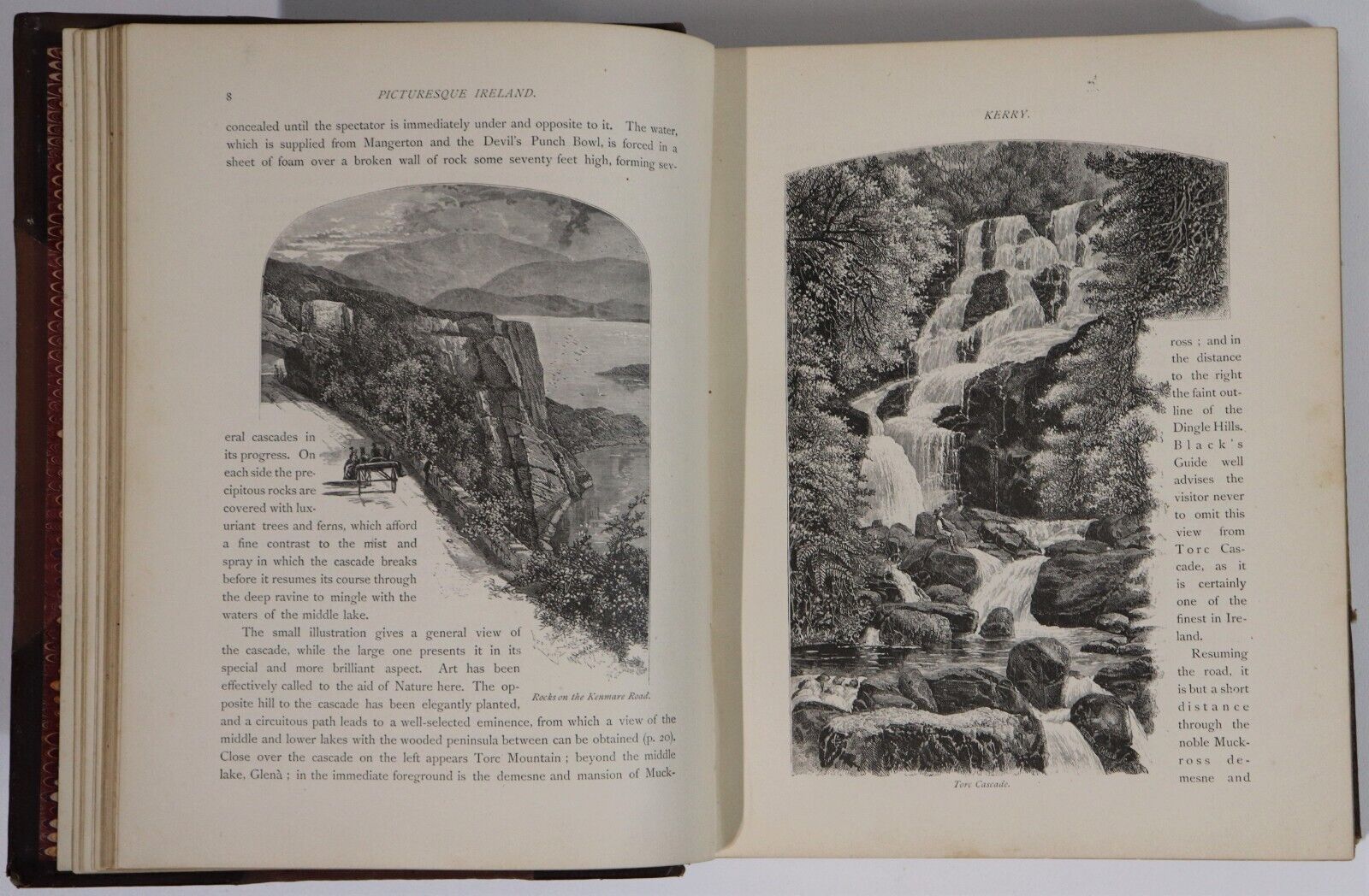 1884 Picturesque Ireland by John Savage Antiquarian Irish History Book Leather