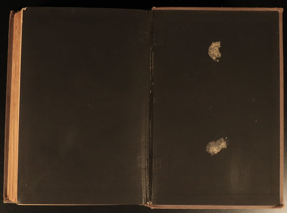 1891 Charles Kingsley Letters & Life British Religious History & Biography Books