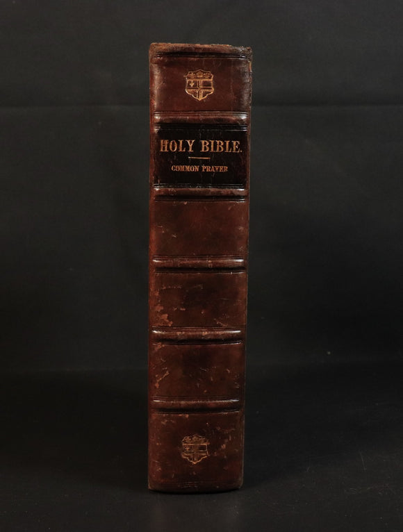 4f96941b-cc53-4ee1-9ebc-a6485acf7407