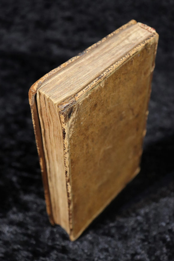 507b49fe-5433-46e0-9276-637b740553f9