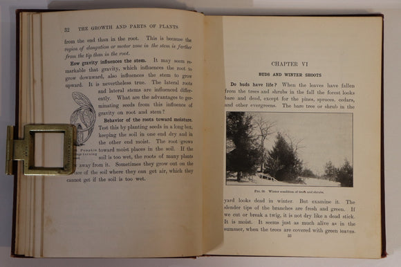 51385ee0-0494-4cc4-853c-04351757961c