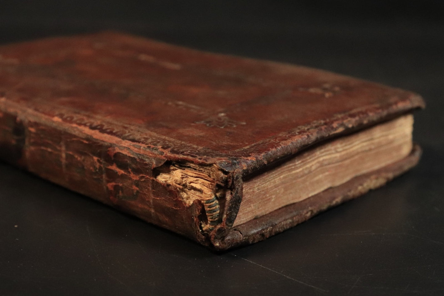 513b51e4-0e51-4d3f-94b9-1474dc3d67a8