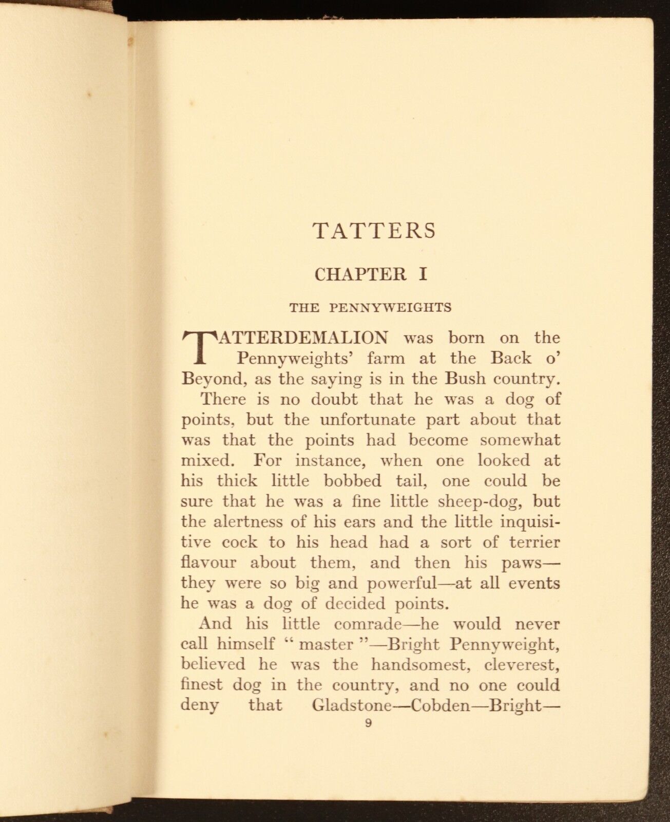 1928 Tatters by Isabel Maude Peacocke Antique Children's Book Dog Stories