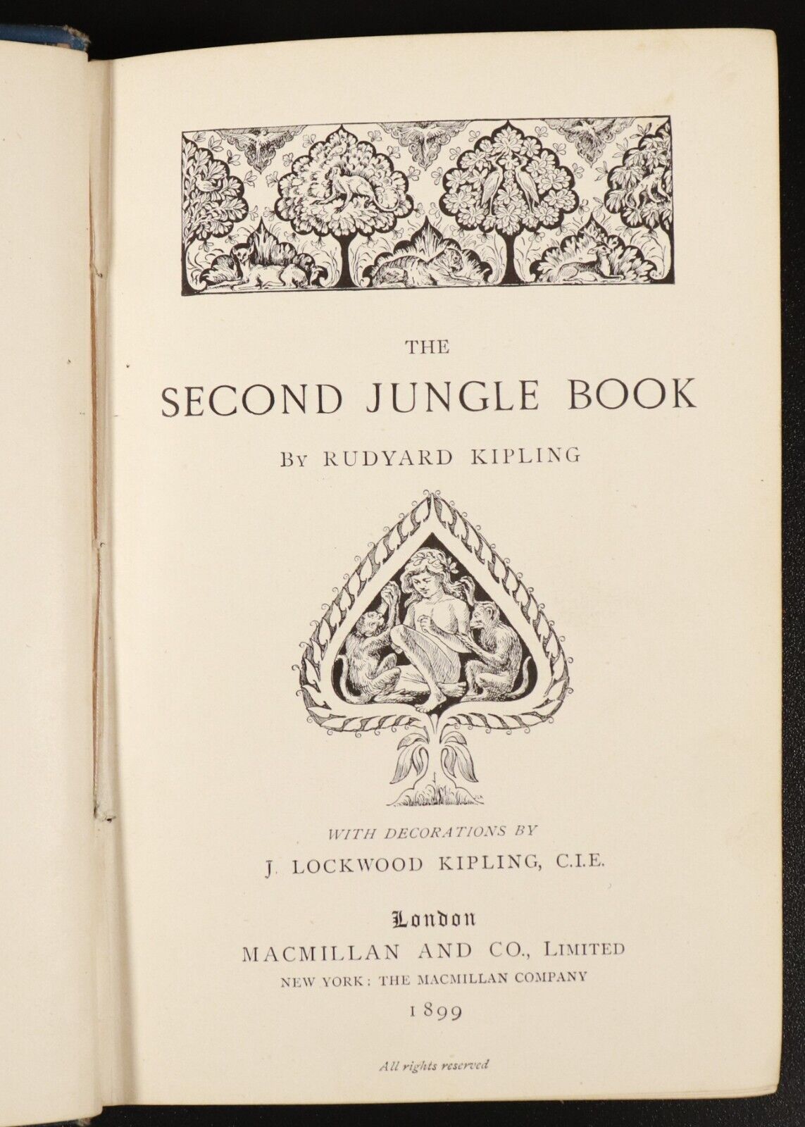 c1893 12vol Rudyard Kipling Library Antique Fiction Book Collection Bulk Lot