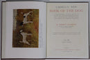 c1912 Cassell's New Book Of The Dog Antique British Dog Reference Books-12