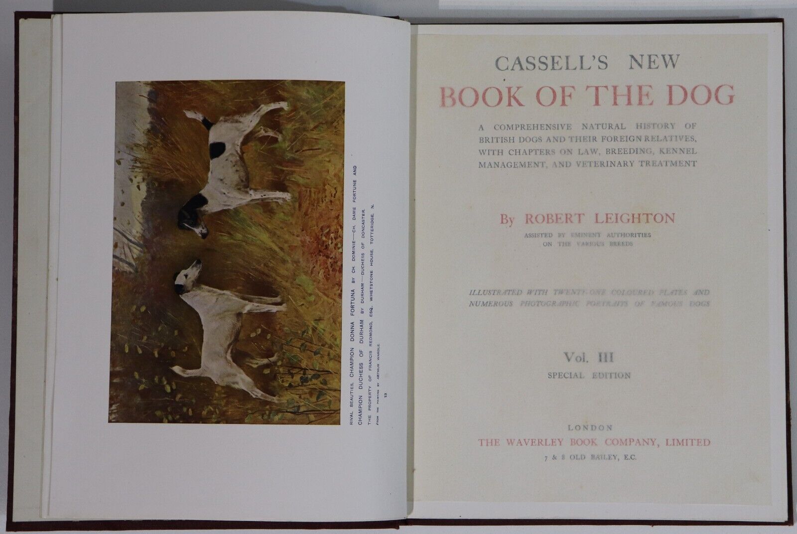 c1912 Cassell's New Book Of The Dog Antique British Dog Reference Books