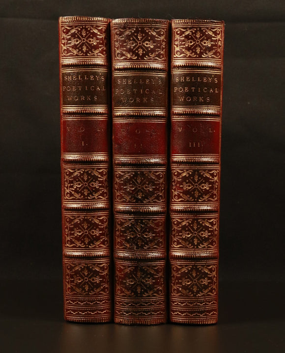 54baf38d-b746-4c84-8449-deae45136b43