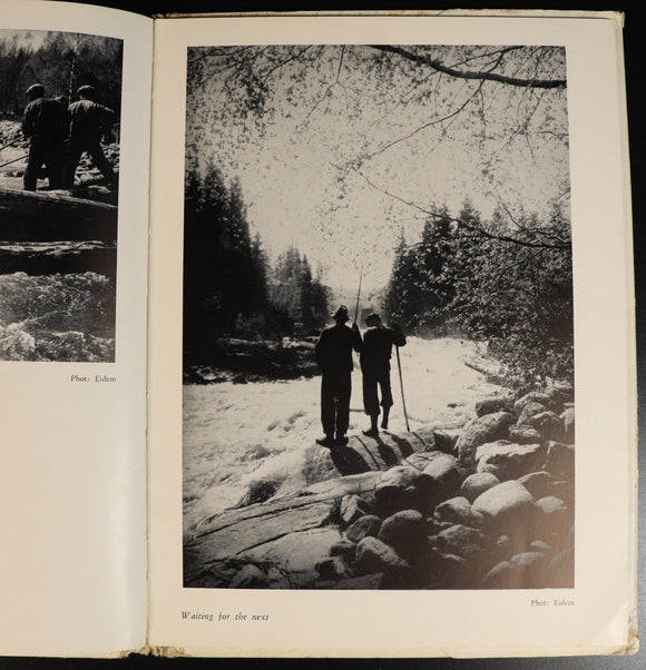 5525c583-7b80-4440-af38-5fe24a8265de