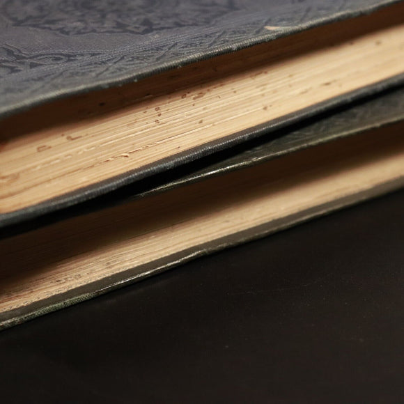 554d858d-6259-418e-8019-23bda1821748