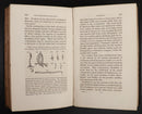 1834 2vol Animal & Vegetable Physiology Antiquarian Natural History Book Set-9