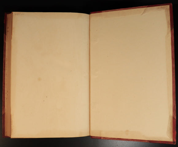 5582f0e8-55e1-442a-90ae-4f3c4ad2a168