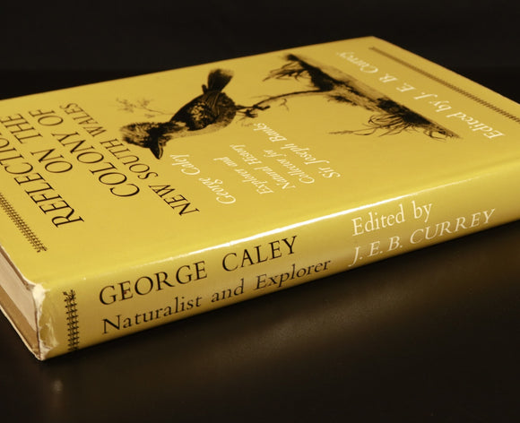 55ac8afd-966a-4f99-8823-d0964af48a8d