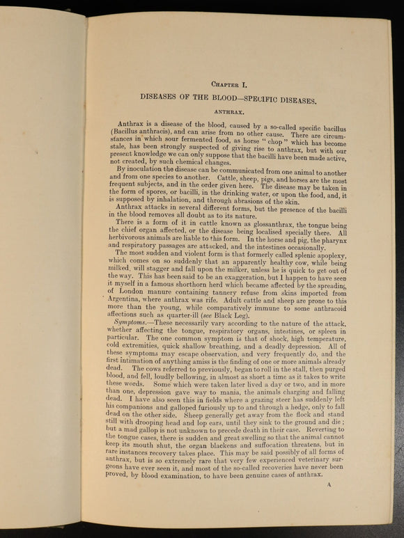 55e24c9a-cb59-4342-8c67-ef0c1f16f867