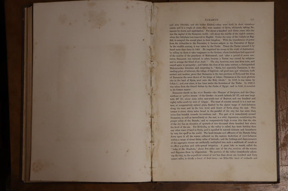 1852 Landscape Illustrations Of The Bible Antiquarian Book Syria Egypt J. Wilson