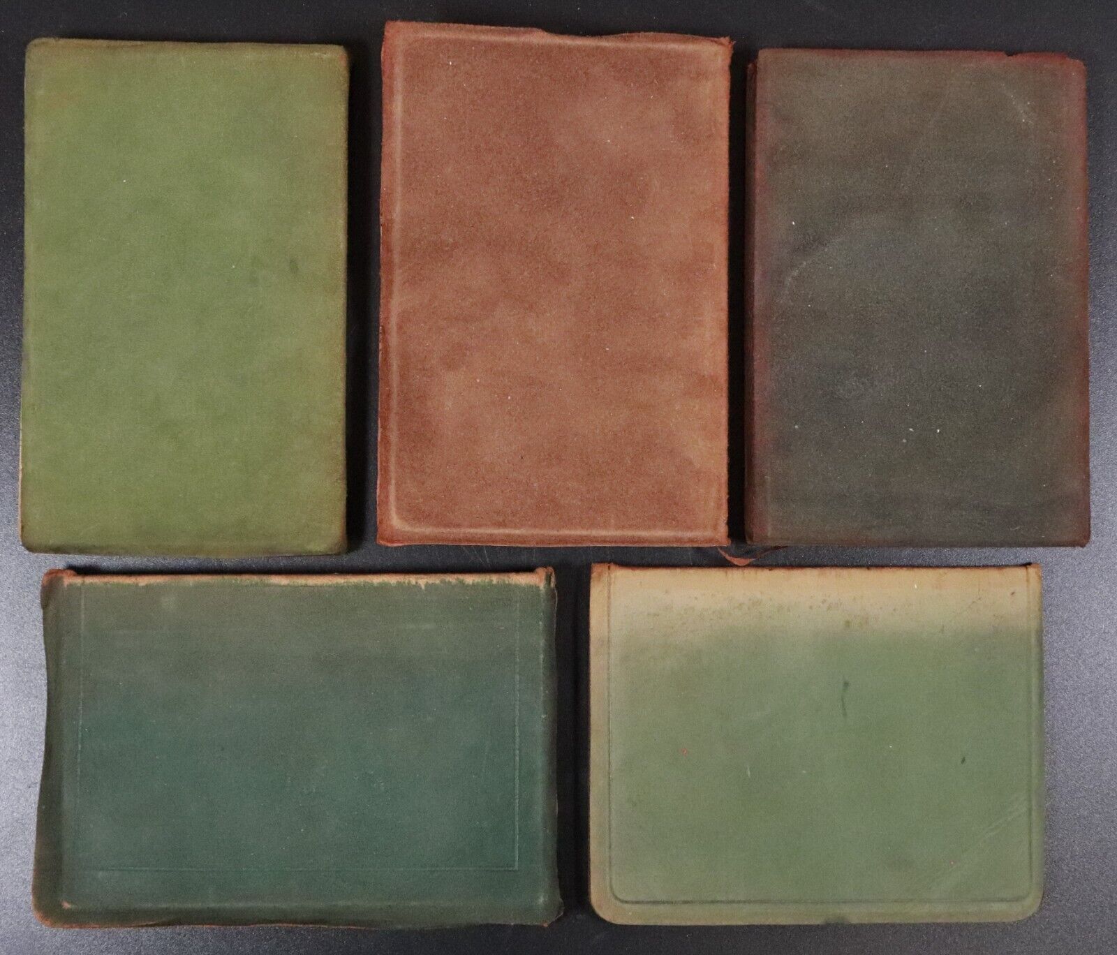 c1905 5vol Suede Classic Literature Poetry Book Collection Shelley Burns Wilcox