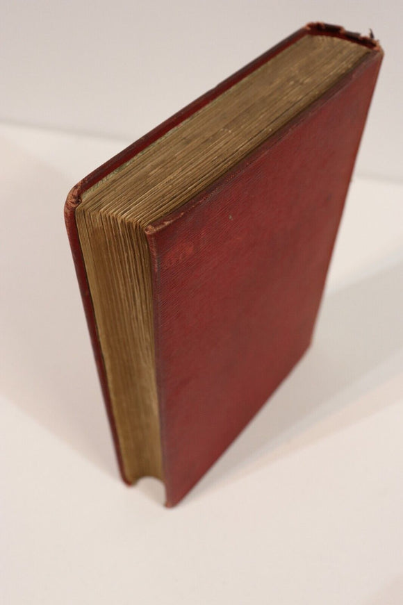 1897 The Half-Caste: Governess's Tale by Dinah Craik Antique Fiction Book