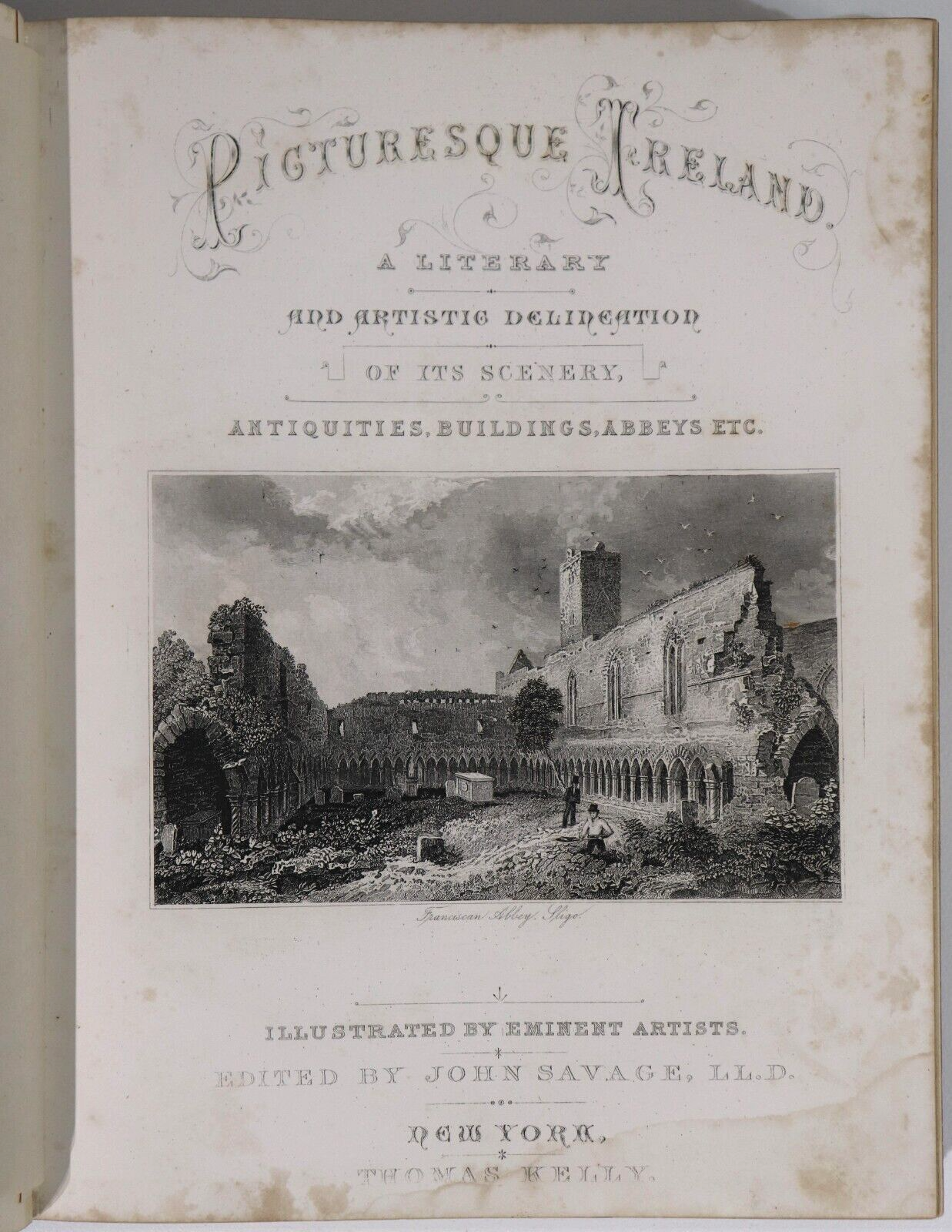 1884 Picturesque Ireland by John Savage Antiquarian Irish History Book Leather