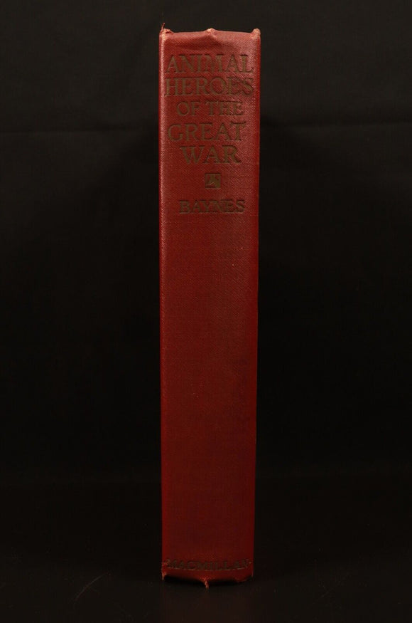 1927 Animal Heroes Of The Great War WW1 Military History Book by E.H. Baynes