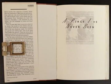 1990 A Place I've Never Been by David Leavitt 1st Edition American Fiction Book - 0