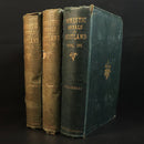 58128e49-1799-4c18-b96c-755d7879cb15