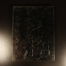 583cba2a-4c1c-432d-be2b-961b83d2bce6