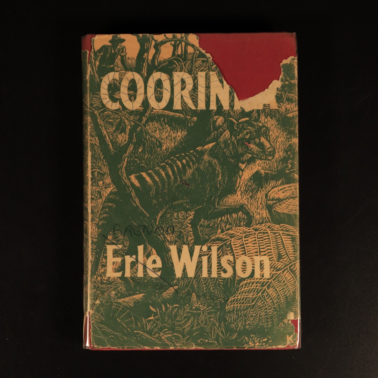 1953 Coorinna by Erle Wilson Vintage Australian Fiction Book Tasmanian Uplands