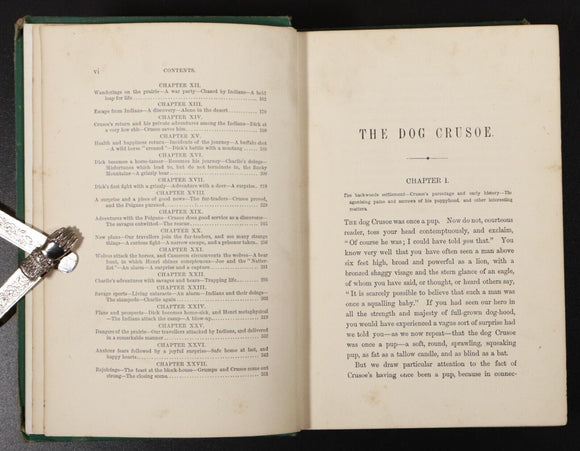 1882 The Dog Crusoe & His Master by RM Ballantyne Antique Adventure Fiction Book