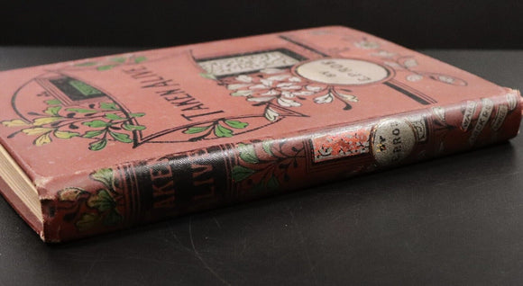 c1910 Taken Alive & Other Stories by E.P. Roe Antique American Fiction Book