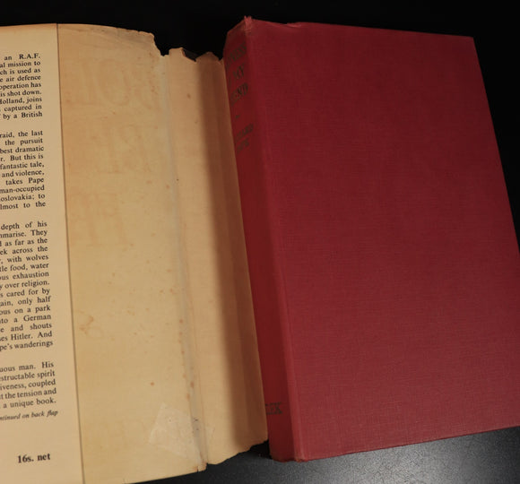 5a542944-deb5-48a1-b2c4-383ca9a88ab7