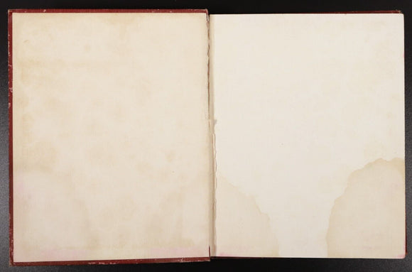 1907 Billy Whiskers' Travels by F.G. Wheeler Antique American Children's Book