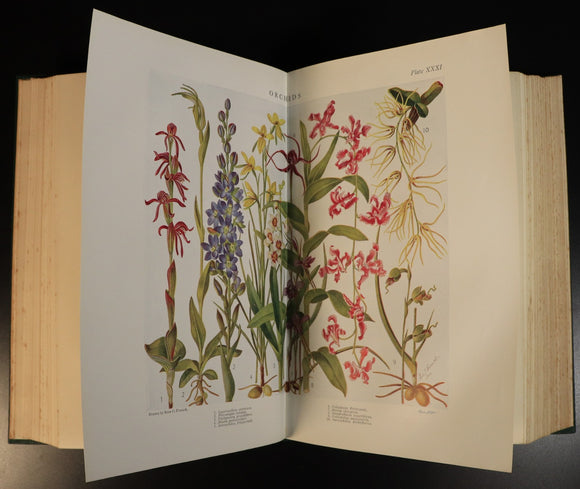 5b27f0ef-2961-40bd-9715-cb5b091751bb