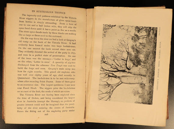 1909 In Australian Tropics by Alfred Searcy Antique Australian History Book