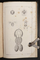 5b996075-5ef3-456b-a6df-74e50afd2a28