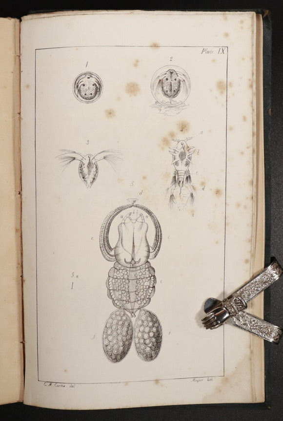 5b996075-5ef3-456b-a6df-74e50afd2a28