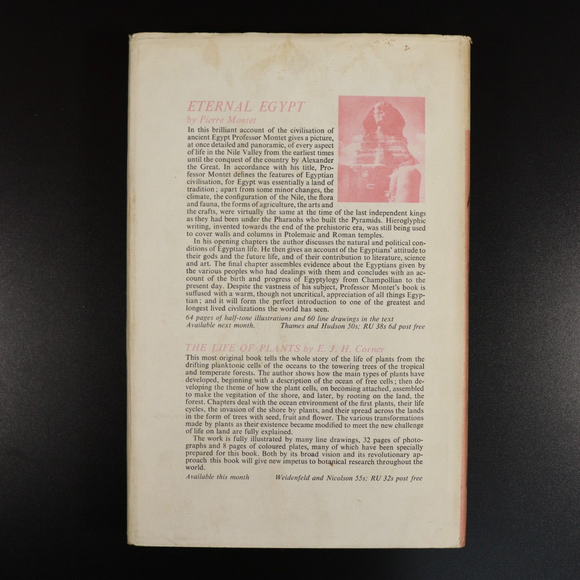 1965 The Golden Haze: Captain Cook In South Pacific Exploration History Book