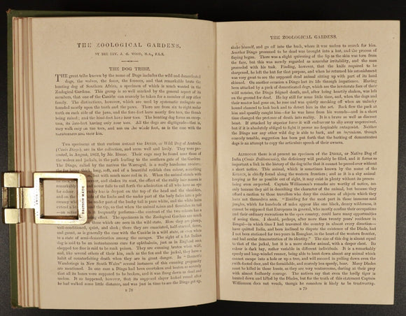 c1890 Adventures Of Two Brave Boys by G.A. Henty Antique Children's Book