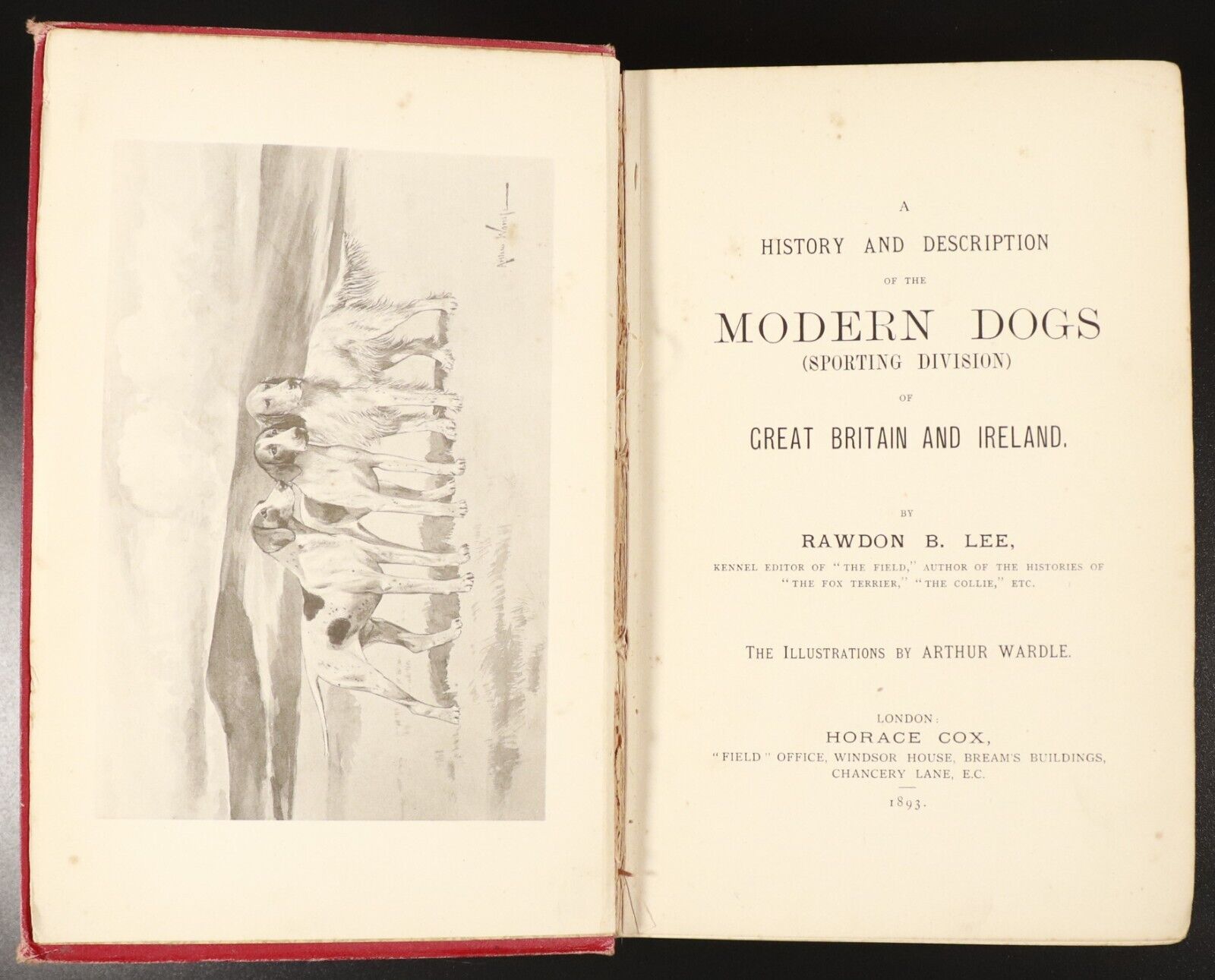 1893 Modern Dogs Of Great Britain & Ireland Antique Sporting Dog Reference Book