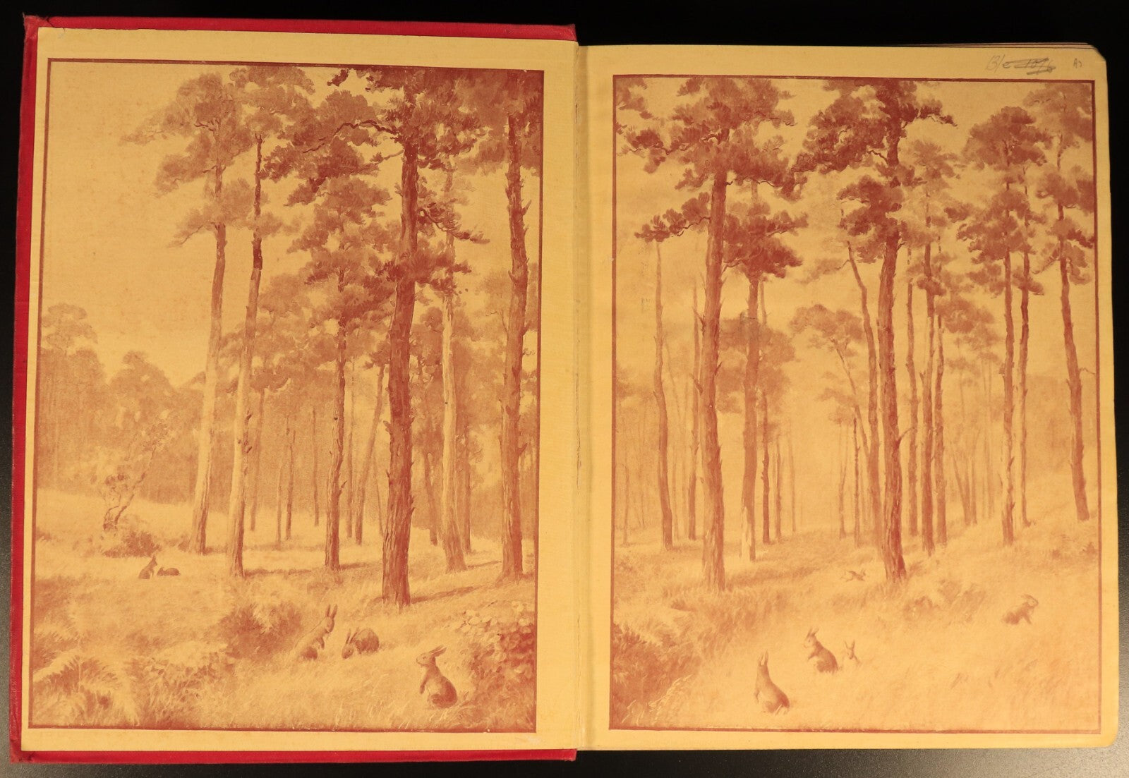 The Girls Own Annual 1917 Antique British Illustrated Girls Book Volume 38