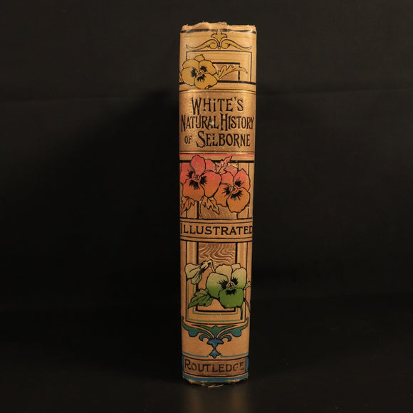 5e4e24e5-e099-4e22-8286-f00848b22c49