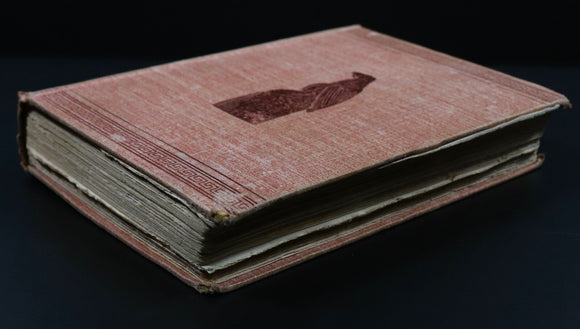 5e5ff410-6ba9-4b85-9d40-b2b6246062ed