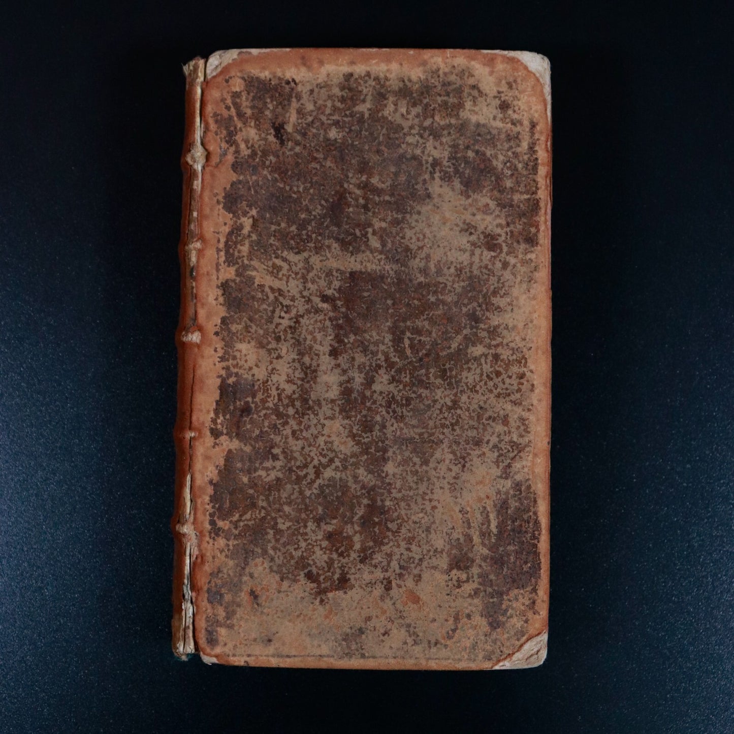 5ea7ef62-13ac-42c8-88a9-5301bc3db013